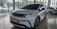 BYD  돌핀 36호4370 BYD장기렌트, 신용불량자중고차